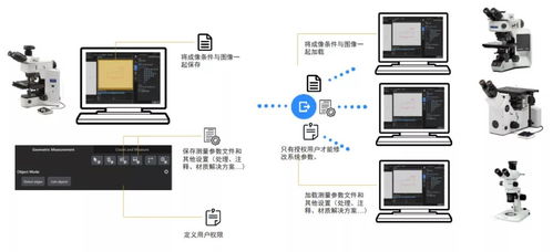 智能模塊驅(qū)動高效可靠 奧林巴斯顯微鏡圖像處理軟件Preciv AI升級引領精準新高度